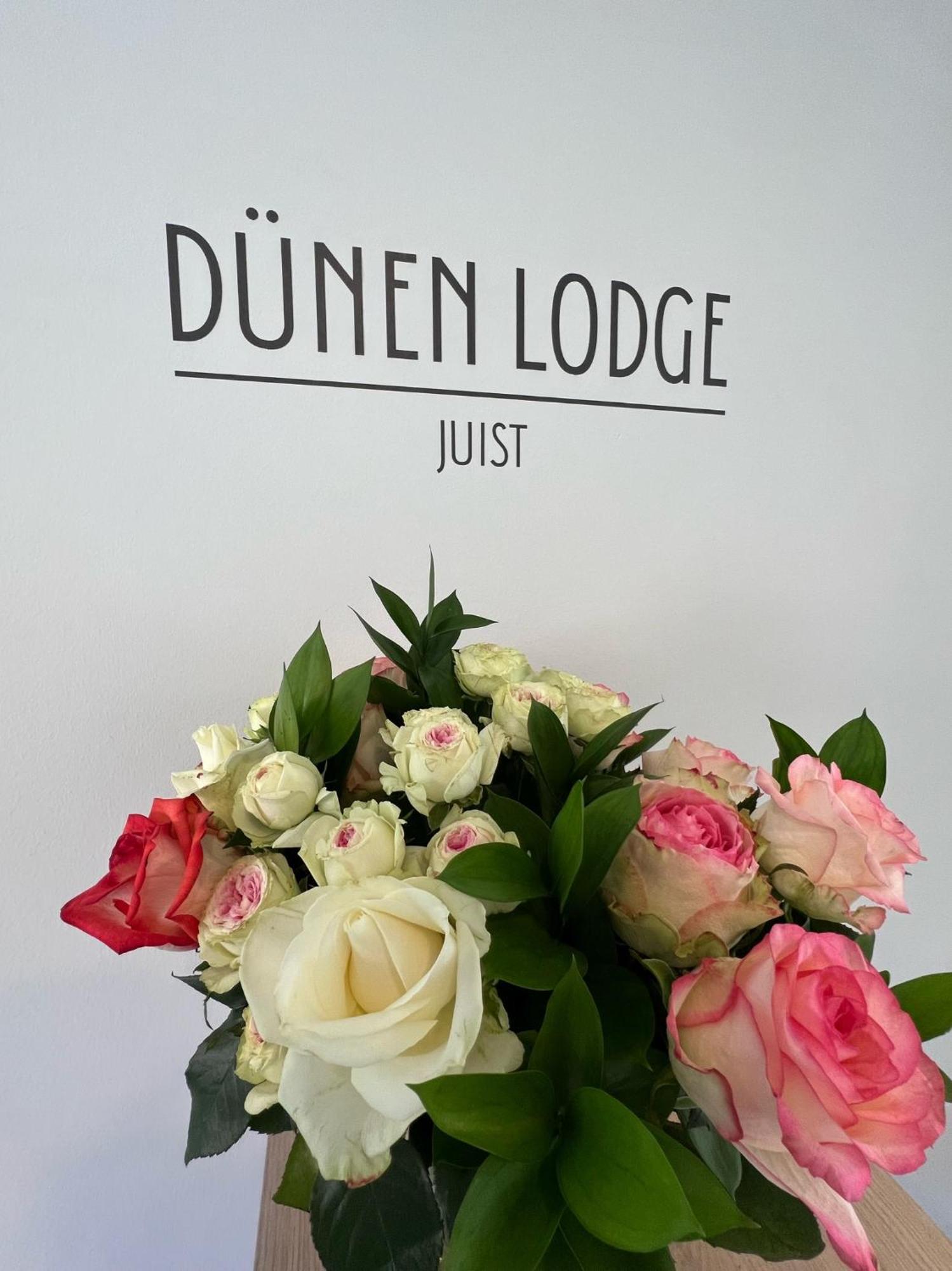Duenen Lodge 3 Juist Zewnętrze zdjęcie